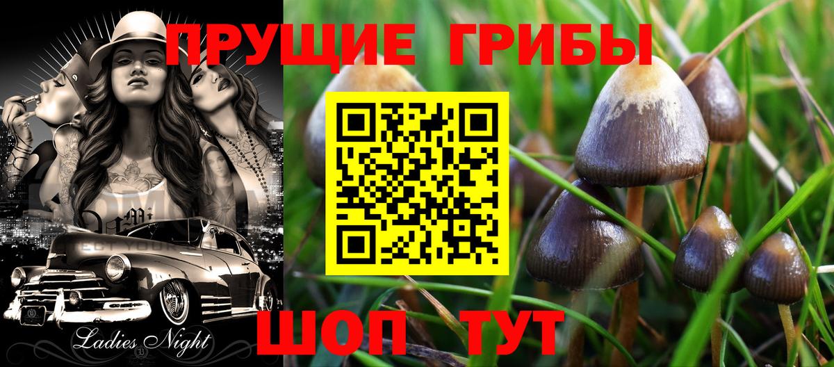  КОКАИН Родники